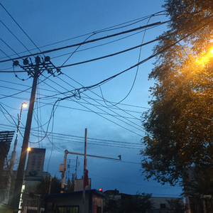 欧美人与z0xxxx另类
